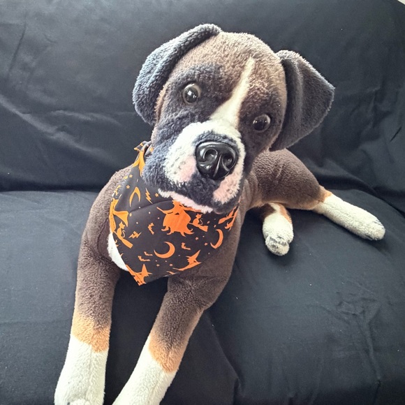 Other - New Witch  Design Dog Bandanna